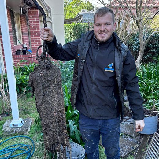 Same Day Sewer & Drain Clearing Across Coombabah